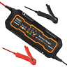 4351621741 Zeepin Bygd Car Battery Charger 689849187877 4351621741 Zeepin Bygd Car Battery Charger 689849187877
