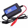 Bl3477 Cleanpower Lead Acid Batteries Battery Regenerator Auto Pulse 701142782358