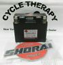 Lfx07l2-bs12 Shorai Motorcycle And Powersports Starter Battery Lfx07l2-bs12 Shorai Motorcycle And Powersports Starter Battery