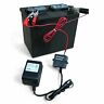 Ztp1301404 Dnx Wiring Electronics Trickle Battery Charger Sealed Lead Acid Sla