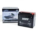 STX20L-BS Mf Battery For Atv / Utv Pwc Motorcycle Replaces YTX20L-BS. Fixed Price $59.95.