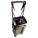 Diehard 71341 250 Amp Battery Charger & Engine Starter. Fixed Price $231.94.