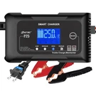 25-AMP Smart Battery CHARGER,LITHIUM,LIFEPO4,LEAD-ACID Agm/gel/sla.. Car. Fixed Price $53.19.