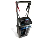 Diehard 71341 250 Amp Battery Charger & Engine Starter. Fixed Price $199.99.