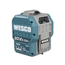 Wesco 60V 2.5AH Li-ion Battery Pack, Intelligent Power Management, WS9982. Fixed Price $19.99.