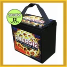 New Energie PR2800 2800W 12 Volt 55AH Capacity Power Cell Left Positive Terminal. Fixed Price $215.52.