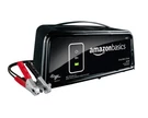 Amazon Basics 8 Amp Battery Charger For 6V And 12V Batteries With Auto Start. Fixed Price $44.99.