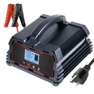 25A Smart Battery Charger 12V 24V Gel Agm LIFEPO4 Auto Car Motorcycle Black. Fixed Price $44.99.