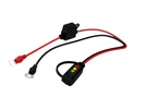 Corvette Ctek Battery Status Indicator With Eyelets. Fixed Price $14.95.