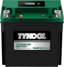 Lithium Battery Replaces YTX14 Bs 8AH 400CCA Atv Utv Motorcycle Scooter. Fixed Price $166.10.