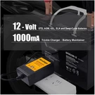 Mroinge 12V Smart Battery Charger & Maintainer. Fixed Price $30.39.