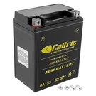 Caltric Agm Battery For Arctic Cat Alterra 400 4X4 2016 2017 / 12V 12AH 200. Fixed Price $48.00.