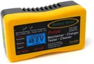 Battery Saver 48V, 50W Quick Charger, Tester & Auto Pulse Maintainer - New. Fixed Price $219.95.