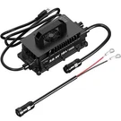 Litime 58.4V 18A Ac-dc Waterproof Charger For 48/51.2V Golf Cart LIFEPO4 Battery. Fixed Price $149.99.