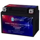 Mighty Max YTX4L-BS Sla Replacement Battery For Weize. Fixed Price $19.99.