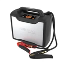 Projecta Intelli-start Professional Jump Starter, 12/24V 3000A PJ-IS3000-2. Fixed Price $1389.99.