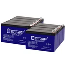 Mighty Max 12V, 9AH, Gel, Nb Replaces Schumacher Dsr Model IP-125C 8 Pack. Fixed Price $224.99.
