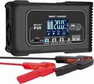 20A 12V/24V Lithium Battery Charger Automatic Maintainer, Trickle Black. Fixed Price $38.85.